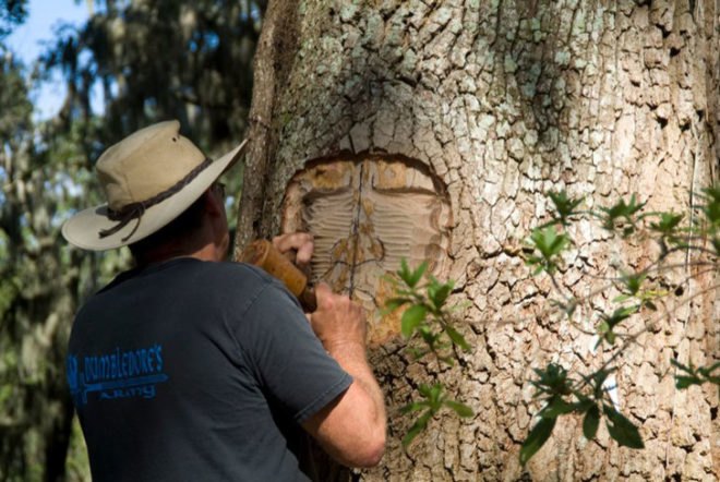 tree spirits, keith jennings, carve, oak, tree, portrait, st simons island, georgia, sailor, commission