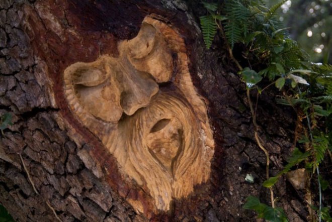 tree spirits, keith jennings, carve, oak, tree, portrait, st simons island, georgia, sailor, commission