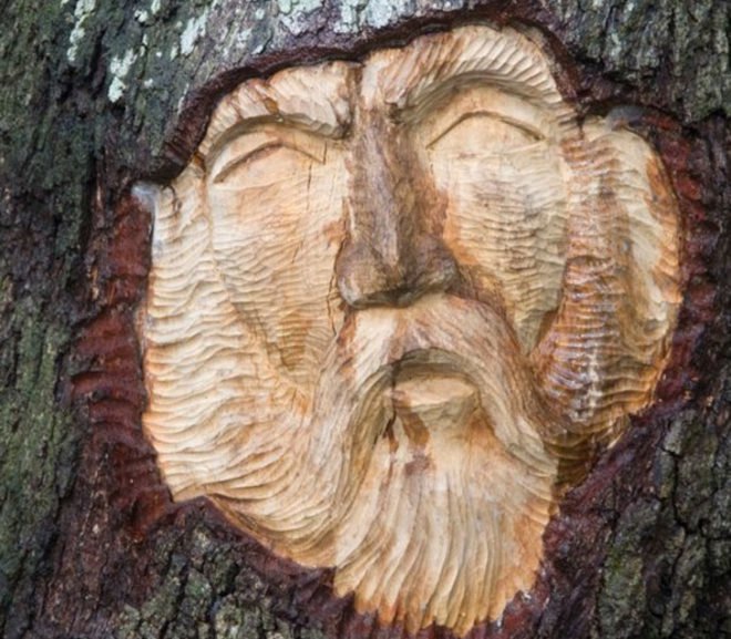 tree spirits, keith jennings, carve, oak, tree, portrait, st simons island, georgia, sailor, commission