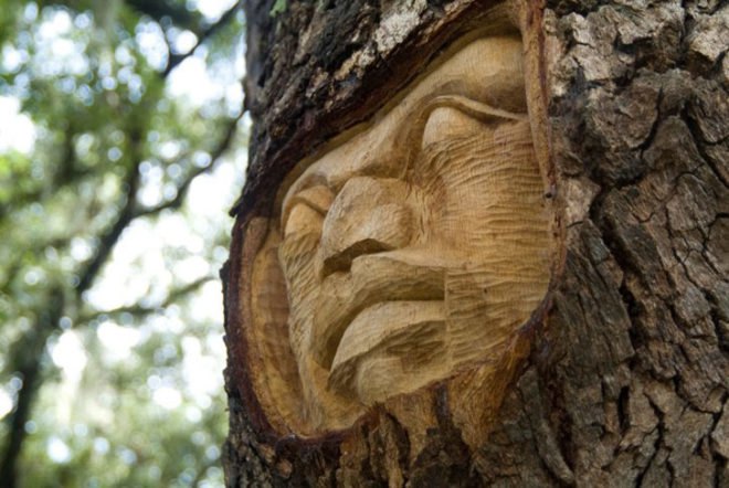 tree spirits, keith jennings, carve, oak, tree, portrait, st simons island, georgia, sailor, commission
