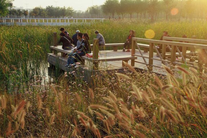 Turenscape, regenerative landscape design, garbage dump, low-maintenance, Tianjin, china, rainwater recycling, native plants, Botanical, Green renovation