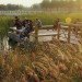 Turenscape, regenerative landscape design, garbage dump, low-maintenance, Tianjin, china, rainwater recycling, native plants, Botanical, Green renovation