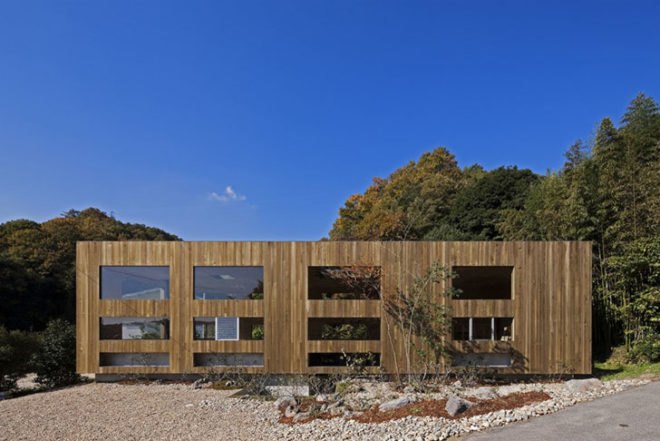 UID Architects, Nest House, Hiroshima, cat, forest, Japanese design, Architecture, Daylighting, green Interiors, Botanical,