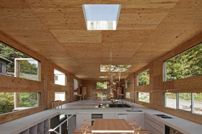 UID Architects, Nest House, Hiroshima, cat, forest, Japanese design, Architecture, Daylighting, green Interiors, Botanical,