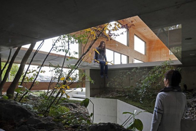 UID Architects, Nest House, Hiroshima, cat, forest, Japanese design, Architecture, Daylighting, green Interiors, Botanical,