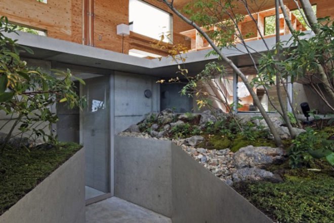 UID Architects, Nest House, Hiroshima, cat, forest, Japanese design, Architecture, Daylighting, green Interiors, Botanical,
