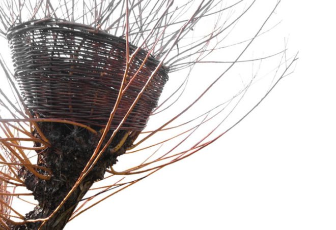 green design, eco design, sustainable design, Veronka Aszalai, Living Furniture, tree furniture, woven branch chair, Hagyaros Village, Hungary
