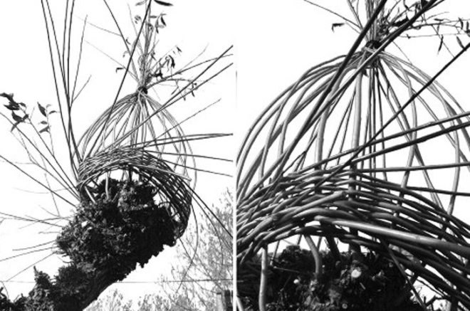 green design, eco design, sustainable design, Veronka Aszalai, Living Furniture, tree furniture, woven branch chair, Hagyaros Village, Hungary