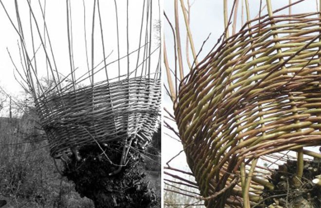 green design, eco design, sustainable design, Veronka Aszalai, Living Furniture, tree furniture, woven branch chair, Hagyaros Village, Hungary