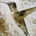 green design, eco design, sustainable design, Vik Muniz, recycle art, Brazilian artists, WASTELAND, garbage collage, Armory Show