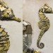 green design, eco design, sustainable design, Vik Muniz, recycle art, Brazilian artists, WASTELAND, garbage collage, Armory Show