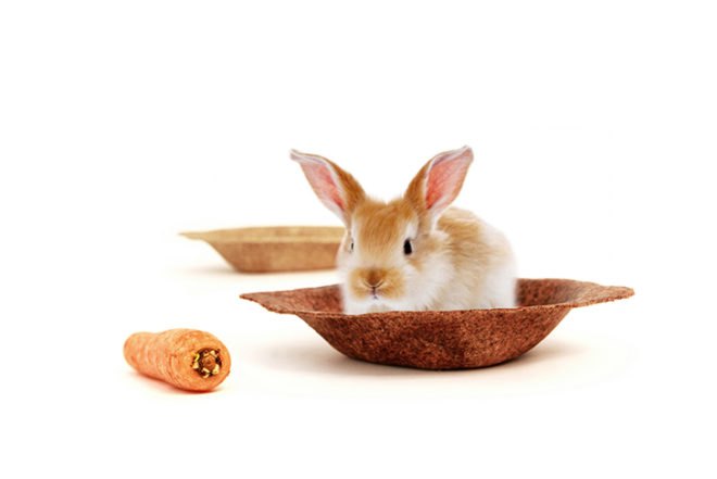 Whomade, Michela Milani, tableware, compostable, Foodscapes, recycled materials, peanut husk, carrot peels, potato starch, Italian design, Green Products, Recycled Materials, Recycling / Compost,