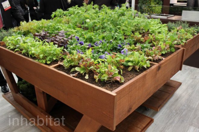 miele, eco walls, ecowalls, kitchen herb garden, green wall, edible greens, edible wall, planted wall, vertical garden, architectural digest home show, green appliances, green design, eco design, sustainable design