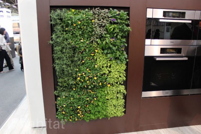 miele, eco walls, ecowalls, kitchen herb garden, green wall, edible greens, edible wall, planted wall, vertical garden, architectural digest home show, green appliances, green design, eco design, sustainable design