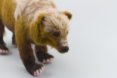 Kiyoshi Mino felt animal sculptures, OCLCO, Illinois, Lucky Duck Farm, taxidermy, wool, eco, nature