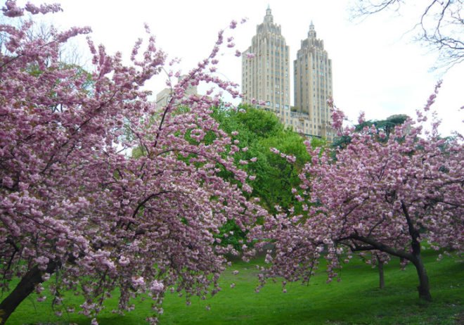 nyc, nyc parks, nyc picnic spots, nyc best parks, alley pond park, pelham park, prospect park, greenbelt moses mountain, central park