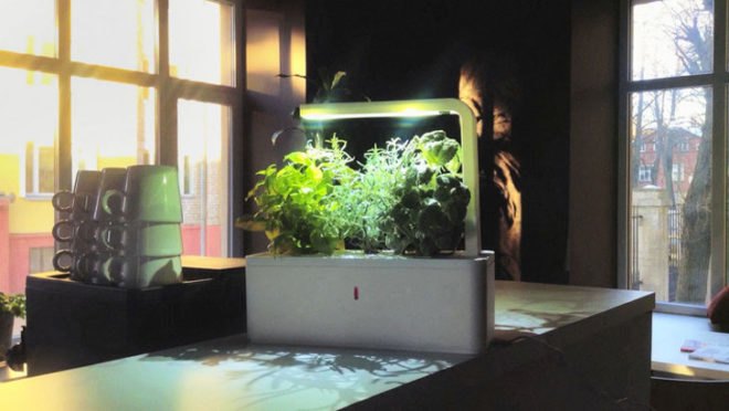 click & grow, smart herb garden, kickstarter, second generation, herbs, vegetables, indoor cultivation