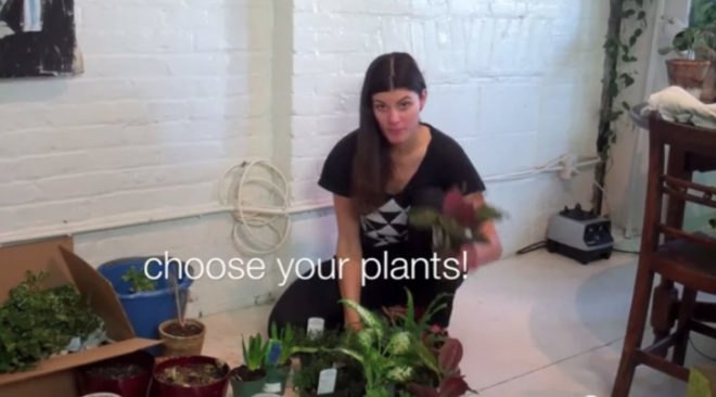 diy vertical garden, eco design, eco model, green design, green NYC, green walls, model Summer Rayne Oakes, planted walls, summer rayne oakes, sustainable design, diy, diy design, diy mason jar herb garden, diy herb garden