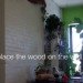 diy vertical garden, eco design, eco model, green design, green NYC, green walls, model Summer Rayne Oakes, planted walls, summer rayne oakes, sustainable design, diy, diy design, diy mason jar herb garden, diy herb garden