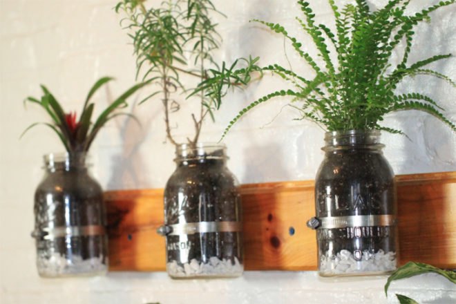 diy vertical garden, eco design, eco model, green design, green NYC, green walls, model Summer Rayne Oakes, planted walls, summer rayne oakes, sustainable design, diy, diy design, diy mason jar herb garden, diy herb garden