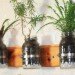 diy vertical garden, eco design, eco model, green design, green NYC, green walls, model Summer Rayne Oakes, planted walls, summer rayne oakes, sustainable design, diy, diy design, diy mason jar herb garden, diy herb garden