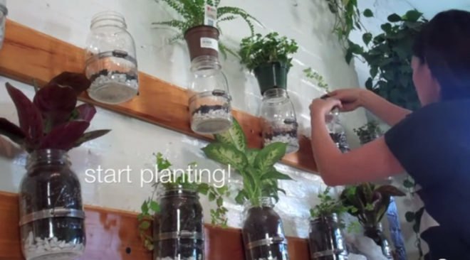 diy vertical garden, eco design, eco model, green design, green NYC, green walls, model Summer Rayne Oakes, planted walls, summer rayne oakes, sustainable design, diy, diy design, diy mason jar herb garden, diy herb garden