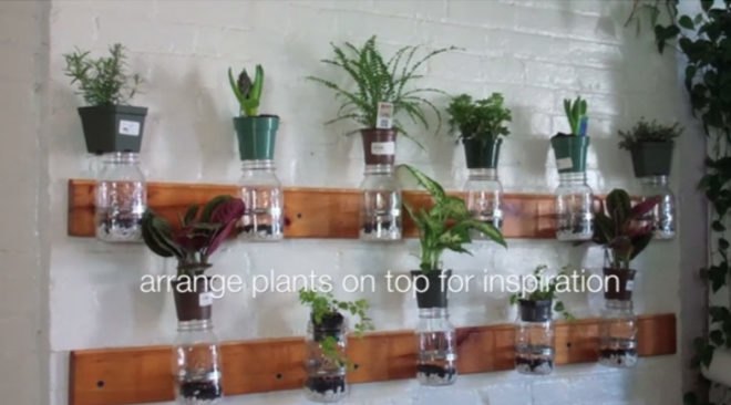 diy vertical garden, eco design, eco model, green design, green NYC, green walls, model Summer Rayne Oakes, planted walls, summer rayne oakes, sustainable design, diy, diy design, diy mason jar herb garden, diy herb garden