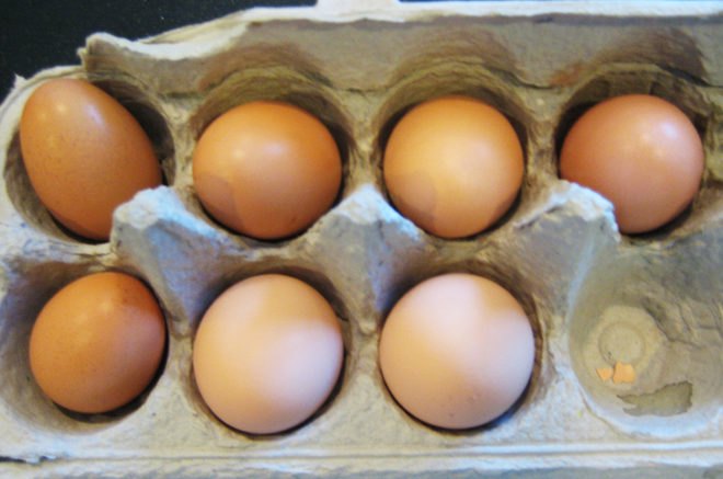 green design, eco design, sustainable design, Beyond Eggs, plant based eggs, Hampton Creek Foods, Josh Tetrick, egg substitute, vegetarian eggs, cruelty free eggs