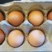 green design, eco design, sustainable design, Beyond Eggs, plant based eggs, Hampton Creek Foods, Josh Tetrick, egg substitute, vegetarian eggs, cruelty free eggs