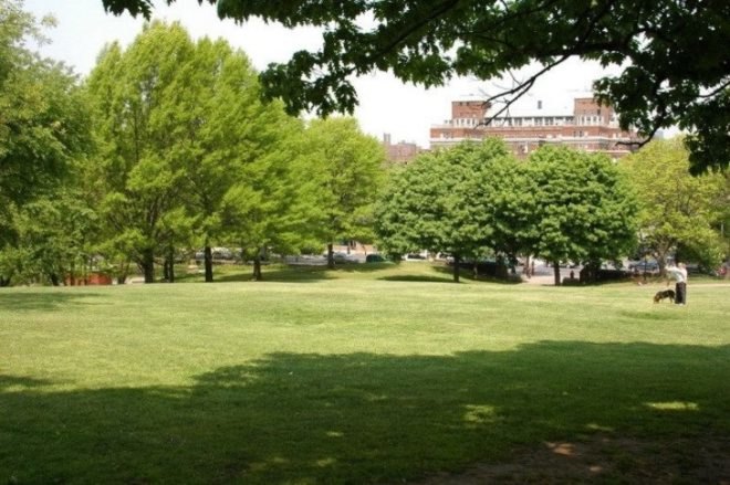 fort greene, clinton community garden, 6bc garden, greenbelt park, alley pond park, spring time in new york city, botanical garden nyc, van courtland park, hells kitchen, staten island,