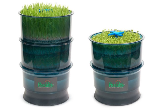 freshlife sprouter, indoor gardening, urban gardening, green, eco, sustainable