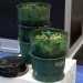 freshlife sprouter, indoor gardening, urban gardening, green, eco, sustainable
