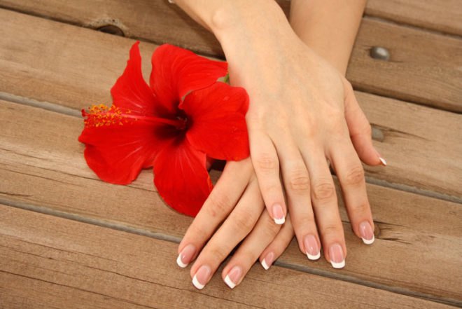 hands, hands and flower, soft hands, pretty hands