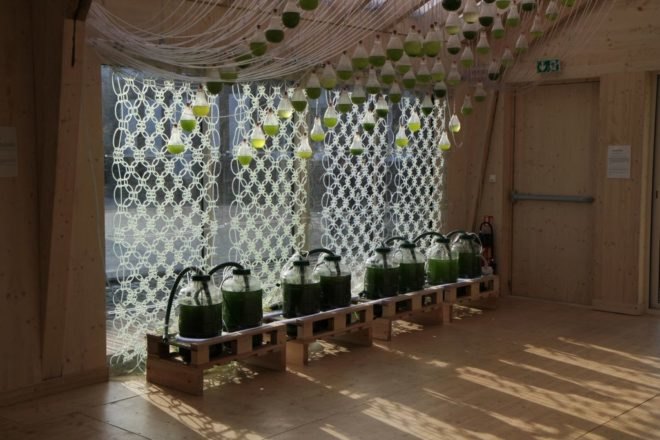 Loop.pH, Algae Curtain-a, Photosynthesizing Textile, Bio-Fuel, algae fuel, algae curtain, eco energy, green energy, clean energy