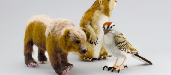 Kiyoshi Mino felt animal sculptures, OCLCO, Illinois, Lucky Duck Farm, taxidermy, wool, eco, nature