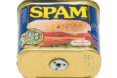 spam, spamcam, pinhole, camera, underbyte, diy, f295