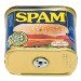 spam, spamcam, pinhole, camera, underbyte, diy, f295