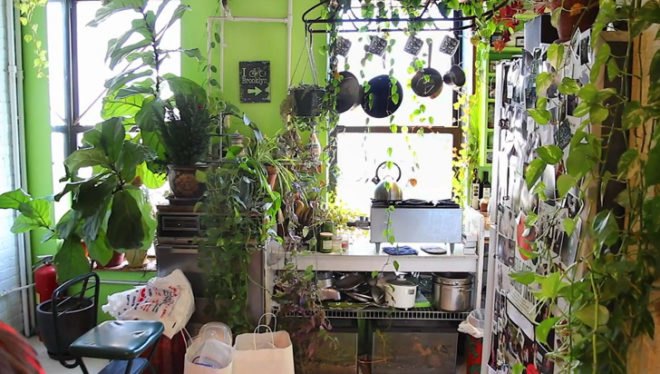 brooklyn real estate, diy vertical garden, eco design, eco model, green design, green NYC, green walls, home vertical garden, mingo design, model Summer Rayne Oakes, planted walls, summer rayne oakes, sustainable design, vertical gardens