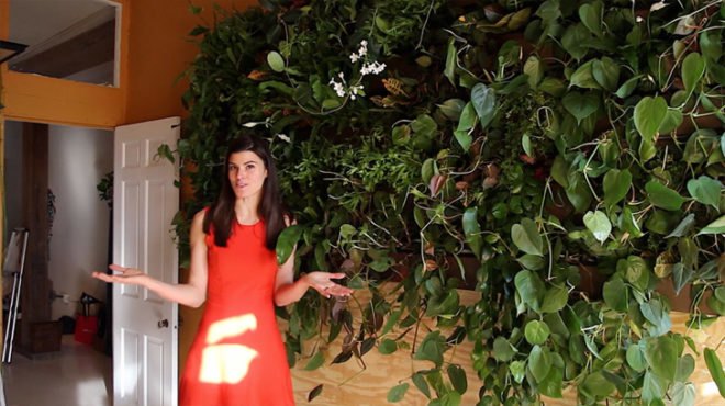 Summer Rayne Oakes, eco model, model Summer Rayne Oakes, brooklyn real estate, vertical gardens, green nyc, green design, sustainable design, eco design, green walls, planted walls, home vertical garden, diy vertical garden