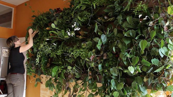 Summer Rayne Oakes, eco model, model Summer Rayne Oakes, brooklyn real estate, vertical gardens, green nyc, green design, sustainable design, eco design, green walls, planted walls, home vertical garden, diy vertical garden