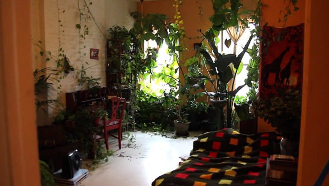 Summer Rayne Oakes, eco model, model Summer Rayne Oakes, brooklyn real estate, vertical gardens, green nyc, green design, sustainable design, eco design, green walls, planted walls, home vertical garden, diy vertical garden