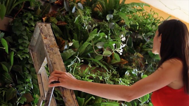 Summer Rayne Oakes, eco model, model Summer Rayne Oakes, brooklyn real estate, vertical gardens, green nyc, green design, sustainable design, eco design, green walls, planted walls, home vertical garden, diy vertical garden