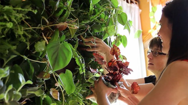 Summer Rayne Oakes, eco model, model Summer Rayne Oakes, brooklyn real estate, vertical gardens, green nyc, green design, sustainable design, eco design, green walls, planted walls, home vertical garden, diy vertical garden
