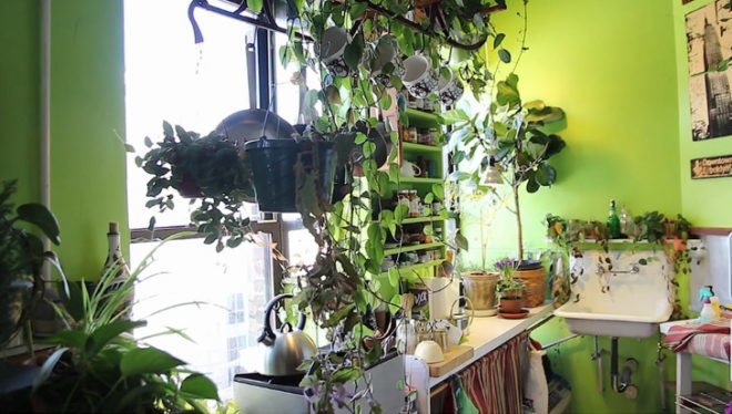 Summer Rayne Oakes, eco model, model Summer Rayne Oakes, brooklyn real estate, vertical gardens, green nyc, green design, sustainable design, eco design, green walls, planted walls, home vertical garden, diy vertical garden