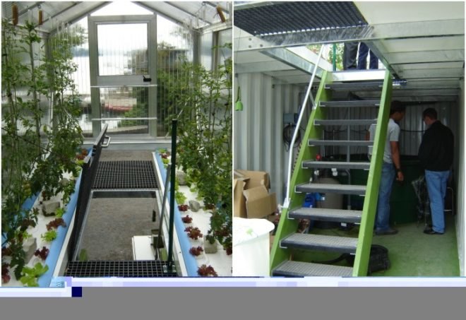 UFU by Damien Chivialle, cootainer, urban farming units, UFU, urban farms, aquaponics, sustainable design, green design, eco farms