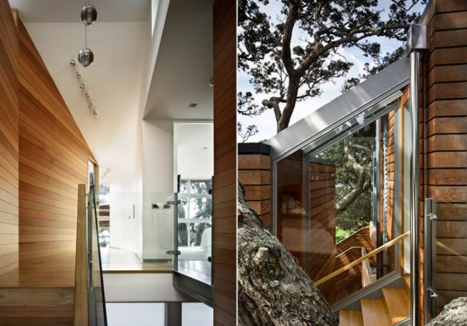 Bossley Architects, New Zealand, Thorne Bay House, Sustainable Home, Beach House, Architecture, Treehouse