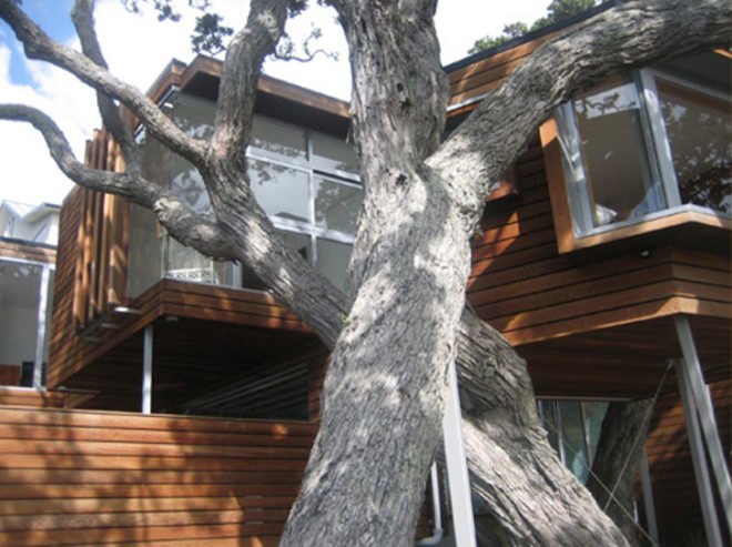 Bossley Architects, New Zealand, Thorne Bay House, Sustainable Home, Beach House, Architecture, Treehouse