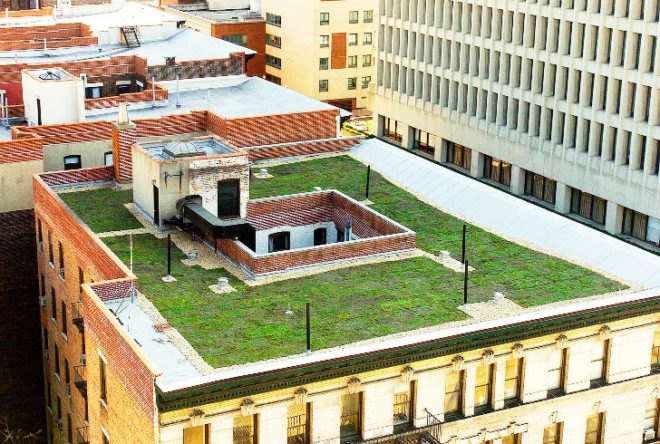 cooling costs, green roofs, moss vegetation, sedum, con edison, columbia university, green roofs nyc, joe lenuso, storm water, wastewater, nyc sewage system, nyc sewer system, energy conservation, morningside heights