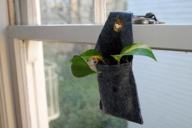 DIY, plant, hanging, wall, interior, green, how-to, felt, succulent, office, greenery, planter