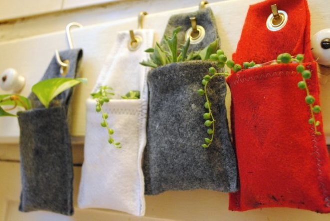 DIY, plant, hanging, wall, interior, green, how-to, felt, succulent, office, greenery, planter